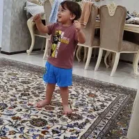 فرش ۱۲ متری دستبافت اردکان تمیز