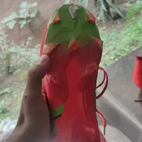 آدیداس چمنی اورجینال کلاسa سایز۴۰|کیف، کفش، کمربند|رشت, استقامت ۱|دیوار