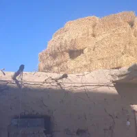 پرس گندم|لوازم جانبی حیوانات|هلالی, |دیوار