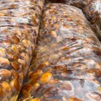 کشمش آفتابی بونات و خرما با قند بالا درجه یک|عمده‌فروشی|اصفهان, شهرک کاوه|دیوار