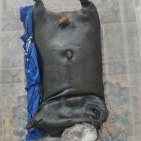 هیزه تمیز و سالم