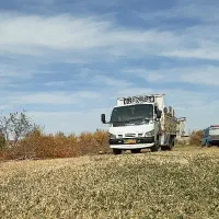 ایسوزو۶تن بی رنگ|خودرو سنگین|کرفتو, |دیوار