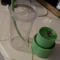 شیکر|خردکن، آسیاب، غذاساز|اسلام‌شهر, شهرک واوان|دیوار