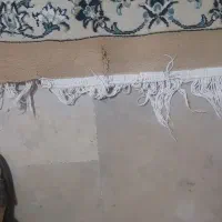 فرش ماشینی نه متری رنگ کرم|فرش|تهران, شهران شمالی|دیوار