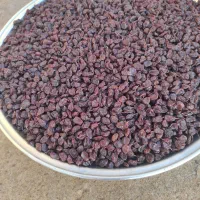 کشمش بش درجه یک پاک شده