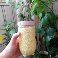 خاویار حلزون از نژاد آچاتینا(حدودا 700 گرم)