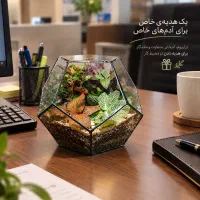 تراریوم