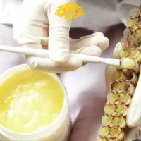 مرکز تولید و توزیع ژل رویال|خوردنی و آشامیدنی|بهبهان, |دیوار