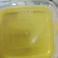 ظرف غذای خارجی نو