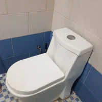 توالت فرنگی|لوازم سرویس بهداشتی|تبریز, |دیوار