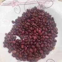 لوبیا قرمز درجه یک فروش فوری نقد|عمده‌فروشی|چادگان, |دیوار