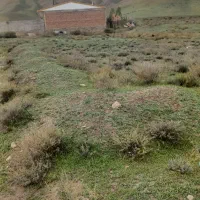 فروش زمین