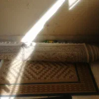 فرش شهر لوازم خانگی|فرش|گرگان, |دیوار