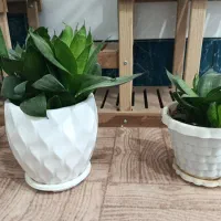حراج گل طبیعی|حراج|الیگودرز, |دیوار