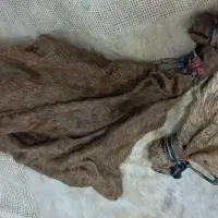 خیگ جای روغن|ظروف نگهدارنده، پلاستیکی، یک‌بارمصرف|دهدشت, |دیوار