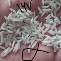 برنج سوپر باسماتی اصلی|خوردنی و آشامیدنی|مشهد, شهید مطهری|دیوار