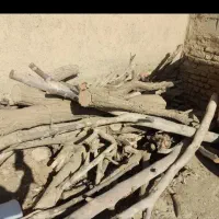 خرید چوب باغ وبرش درخت