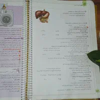 کتاب ماجراهای من و درسام|کتاب و مجله آموزشی|شیراز, حافظیه|دیوار