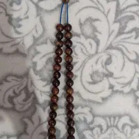 سندلوس گردویی