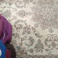 ۳قطعه فرش|فرش|گرگان, |دیوار