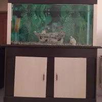 آکواریوم حرفه ای متحرک