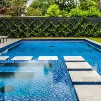 مواد نظافت استخر/کلر/ضدجلبک/شفاف کننده