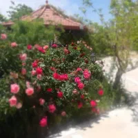 فروش-باغ-ویلای-لوکس-سیخ-دارنگون