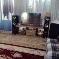 اسپیکر مارک‌دنس