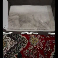 مبلشویی وقالی شویی مهستان