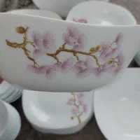 سرویس آرکوپال اسپانیایی
