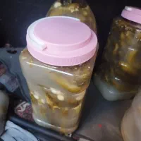 خیارشور خانگی درجه ۱