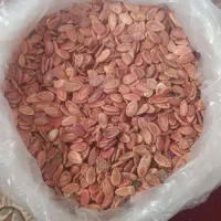 تخمه هندوانه محلی|خوردنی و آشامیدنی|جلگه ماژان, |دیوار