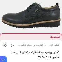 کفش مردانه البرز شماره ۴۲|کیف، کفش، کمربند|شیراز, فرهنگ شهر|دیوار