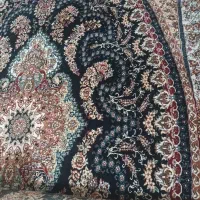 فرش ۶ متری|فرش|رشت, بوسار|دیوار