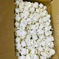 پخش لوله پولیکاواتصالات لوله سبز|مصالح و تجهیزات ساختمان|اهواز, آسیاباد|دیوار