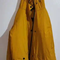 کاپشن بارانی خردلی زرد|لباس|تهران, درختی|دیوار