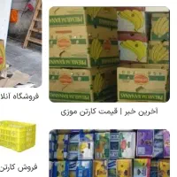 کارتن موزی