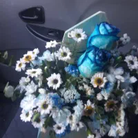 ارائه مشاوره