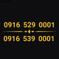 ۰۹۱۶.۵۲۹.۰۰۰۱  ۰۹۱۶.۵۳۹.۰۰۰۱