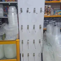 رگال ایستاده