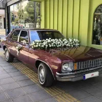 زیبا ترین خودرو اجاره شهرستان سبزوار