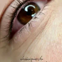 حرفه ای ترین خدمات میکرو فیبروز شید لب خط چشم|خدمات آرایشگری و زیبایی|نیشابور, دارایی|دیوار
