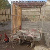 گاری چهار چرخ
