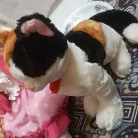 عروسک نوزاد کودک دخترانه عروسک گربه