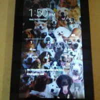 موبایل سامسونگ گالکسی اپل تبلت گوشی|تبلت|تهران, تهرانپارس غربی|دیوار