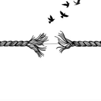 تتو با تخفیف ویژه|خدمات آرایشگری و زیبایی|صائین قلعه, |دیوار