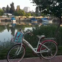 دوچرخه دخترانه سایز 26 رامبو