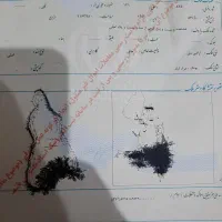 زمین ۱۵۰ متری مراداباد