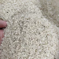 برنج لاشه فجر|خوردنی و آشامیدنی|بندر ترکمن, |دیوار