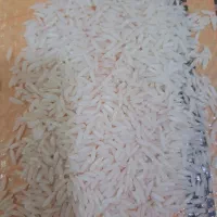 برنج هاشمی درجه یک ۲۰تن یک محصول بدون واسطه|خوردنی و آشامیدنی|خمام, |دیوار